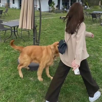 地狱担保人